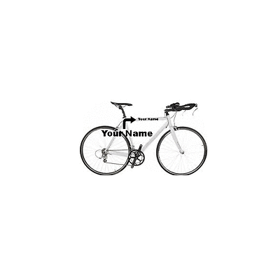 2x Custom Personalized Name Decal Sticker Triathlon Bike Road Speed Decals
