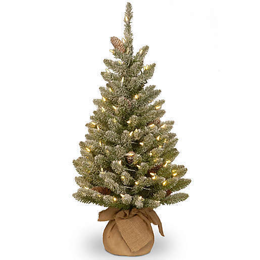 New National Tree  36 In Snowy Concolor Fir Tree Burlap Base Battery 50 Lights