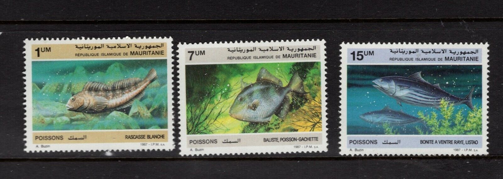 Mauritania #1031-33 (1988 Fish Set) Cv $4.50