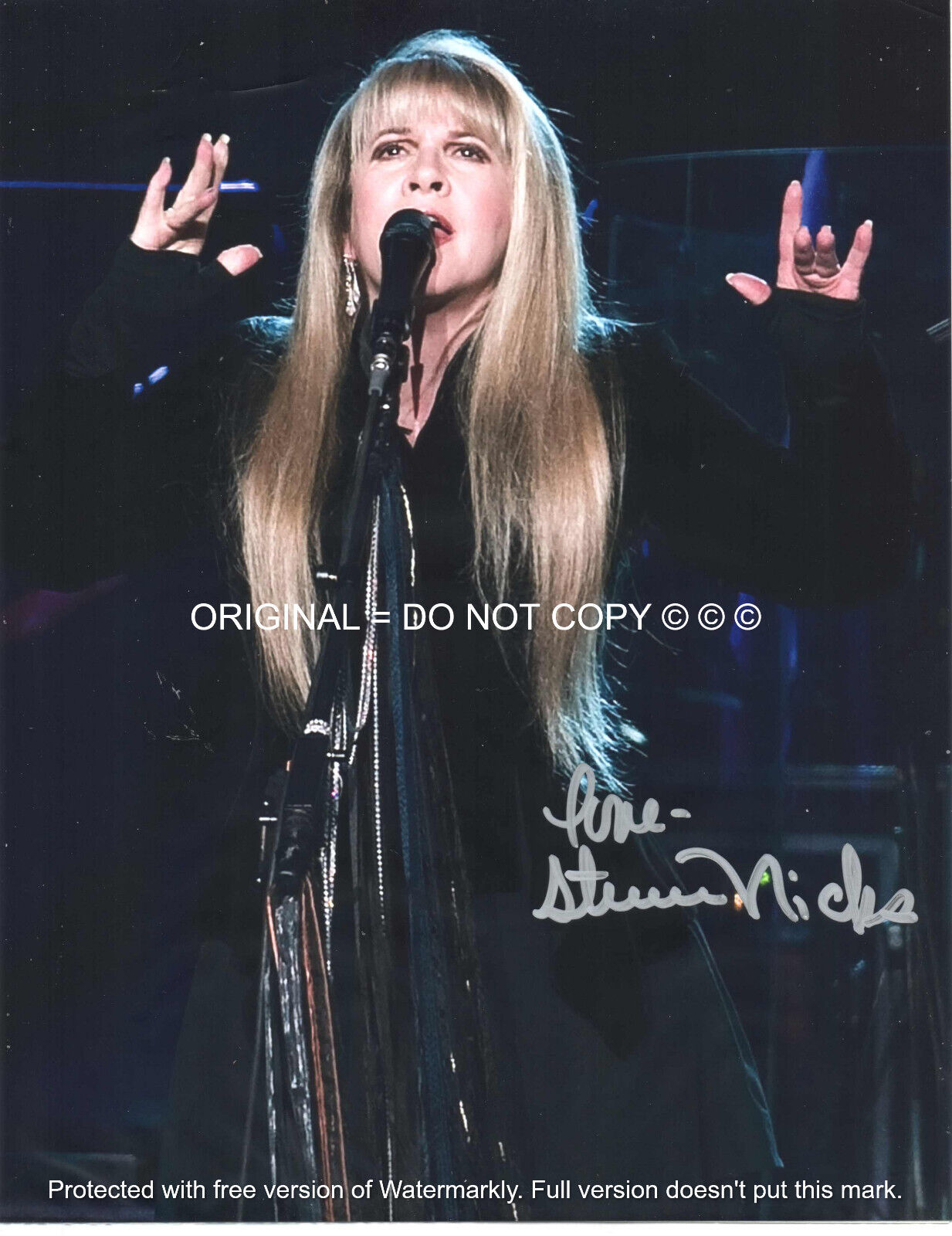 Stevie Nicks ~ Stunning Legendary Singer Wow - Hand Signed Autographed Photo Coa